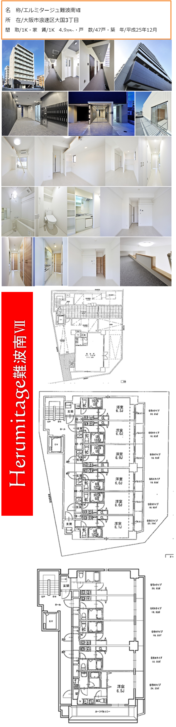 代表取締役　河野春義
